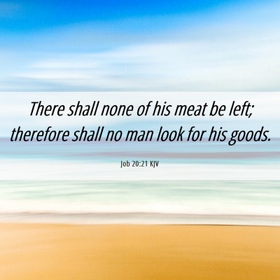 Picture 06 - Job 20:21 KJV - There shall none of his meat be left; therefore - Bible Verse Picture
