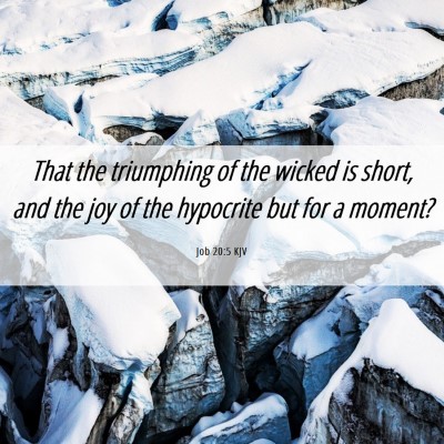 Picture 06 - Job 20:5 KJV - That the triumphing of the wicked is short, and - Bible Verse Picture