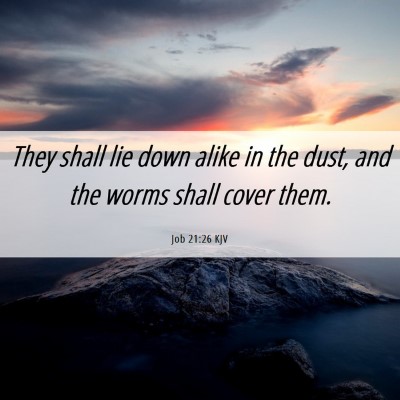 Picture 06 - Job 21:26 KJV - They shall lie down alike in the dust, and the - Bible Verse Picture