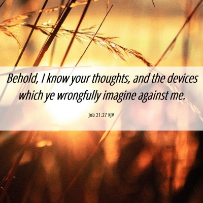Picture 06 - Job 21:27 KJV - Behold, I know your thoughts, and the devices - Bible Verse Picture