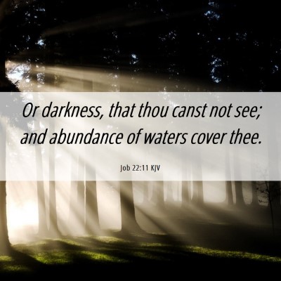 Picture 06 - Job 22:11 KJV - Or darkness, that thou canst not see; and - Bible Verse Picture