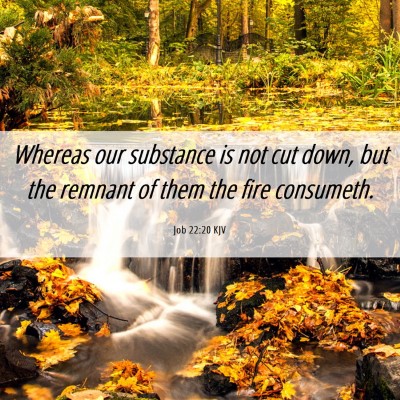 Picture 06 - Job 22:20 KJV - Whereas our substance is not cut down, but the - Bible Verse Picture