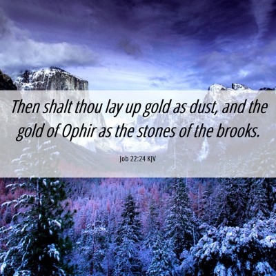 Picture 06 - Job 22:24 KJV - Then shalt thou lay up gold as dust, and the gold - Bible Verse Picture