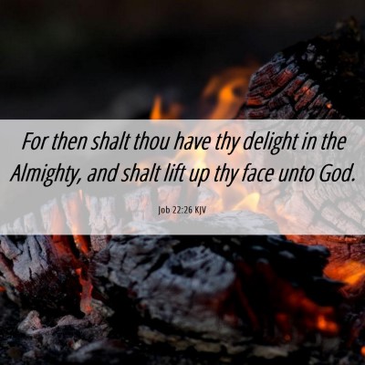 Picture 06 - Job 22:26 KJV - For then shalt thou have thy delight in the - Bible Verse Picture