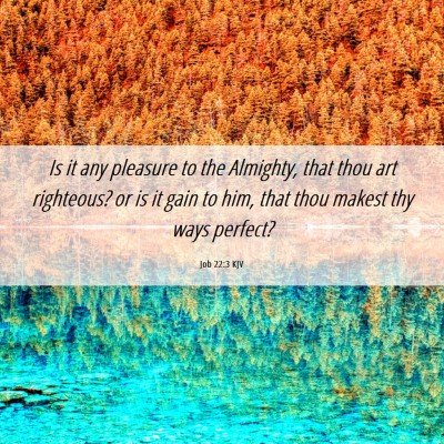 Picture 06 - Job 22:3 KJV - Is it any pleasure to the Almighty, that thou art - Bible Verse Picture
