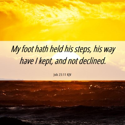 Picture 06 - Job 23:11 KJV - My foot hath held his steps, his way have I kept, - Bible Verse Picture