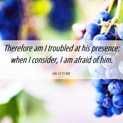 Picture 06 - Job 23:15 KJV - Therefore am I troubled at his presence: when I - Bible Verse Picture