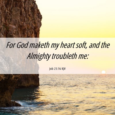 Picture 06 - Job 23:16 KJV - For God maketh my heart soft, and the Almighty - Bible Verse Picture