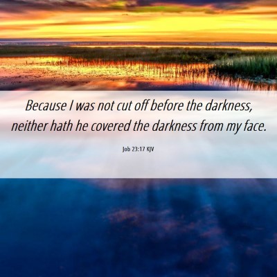 Picture 06 - Job 23:17 KJV - Because I was not cut off before the darkness, - Bible Verse Picture