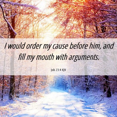 Picture 06 - Job 23:4 KJV - I would order my cause before him, and fill my - Bible Verse Picture