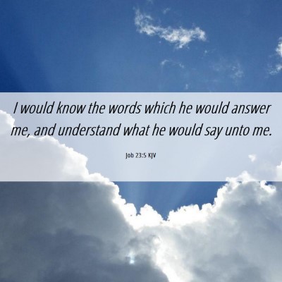 Picture 06 - Job 23:5 KJV - I would know the words which he would answer me, - Bible Verse Picture