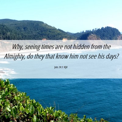 Picture 06 - Job 24:1 KJV - Why, seeing times are not hidden from the - Bible Verse Picture