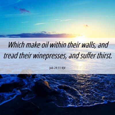 Picture 06 - Job 24:11 KJV - Which make oil within their walls, and tread - Bible Verse Picture