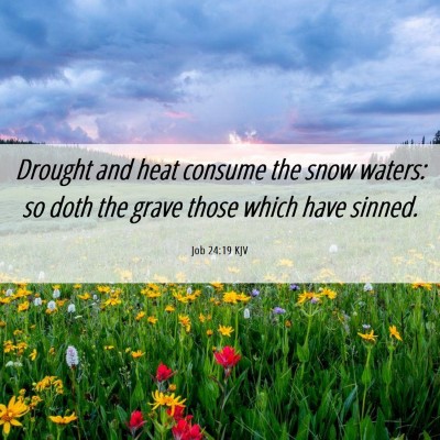 Picture 06 - Job 24:19 KJV - Drought and heat consume the snow waters: so doth - Bible Verse Picture