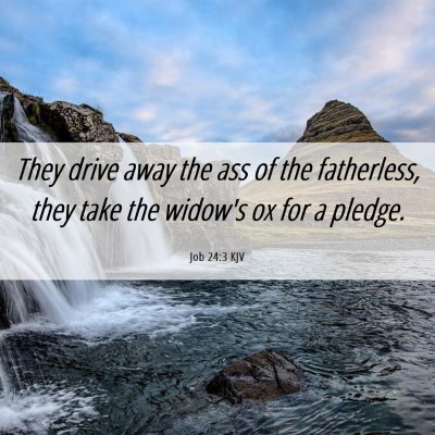 Picture 06 - Job 24:3 KJV - They drive away the ass of the fatherless, they - Bible Verse Picture