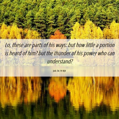 Picture 06 - Job 26:14 KJV - Lo, these are parts of his ways: but how little a - Bible Verse Picture