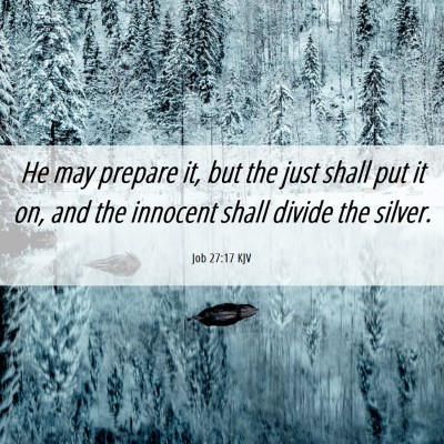 Picture 06 - Job 27:17 KJV - He may prepare it, but the just shall put it on, - Bible Verse Picture