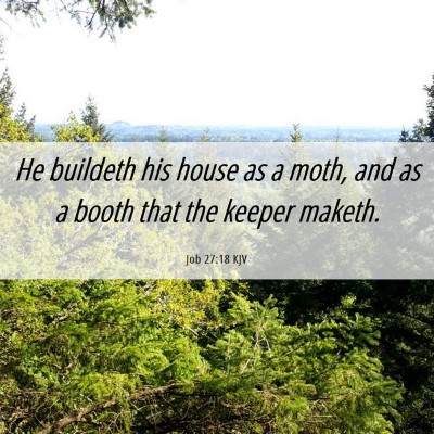 Picture 06 - Job 27:18 KJV - He buildeth his house as a moth, and as a booth - Bible Verse Picture