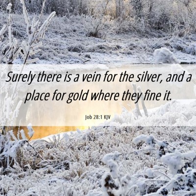 Picture 06 - Job 28:1 KJV - Surely there is a vein for the silver, and a - Bible Verse Picture