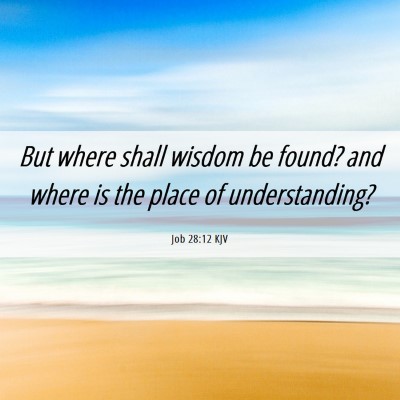 Picture 06 - Job 28:12 KJV - But where shall wisdom be found? and where is the - Bible Verse Picture