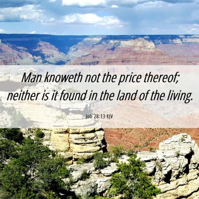Picture 06 - Job 28:13 KJV - Man knoweth not the price thereof; neither is it - Bible Verse Picture