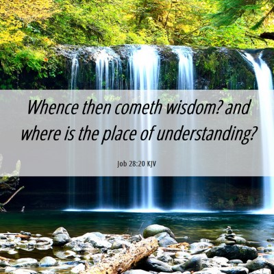 Picture 06 - Job 28:20 KJV - Whence then cometh wisdom? and where is the place - Bible Verse Picture