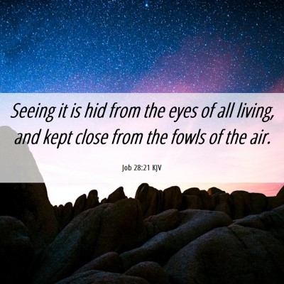 Picture 06 - Job 28:21 KJV - Seeing it is hid from the eyes of all living, and - Bible Verse Picture