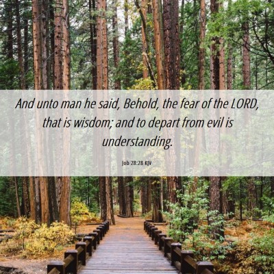 Picture 06 - Job 28:28 KJV - And unto man he said, Behold, the fear of the - Bible Verse Picture