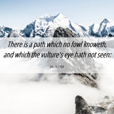 Picture 06 - Job 28:7 KJV - There is a path which no fowl knoweth, and which - Bible Verse Picture