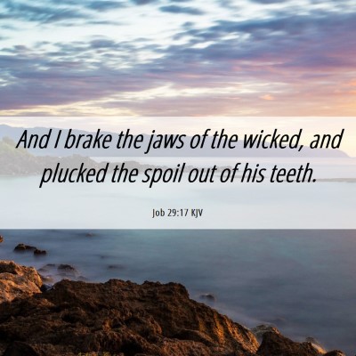 Picture 06 - Job 29:17 KJV - And I brake the jaws of the wicked, and plucked - Bible Verse Picture