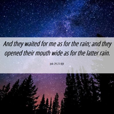 Picture 06 - Job 29:23 KJV - And they waited for me as for the rain; and they - Bible Verse Picture
