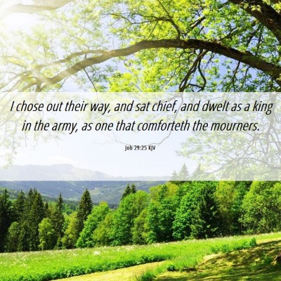 Picture 06 - Job 29:25 KJV - I chose out their way, and sat chief, and dwelt - Bible Verse Picture
