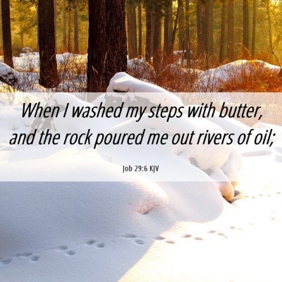 Picture 06 - Job 29:6 KJV - When I washed my steps with butter, and the rock - Bible Verse Picture