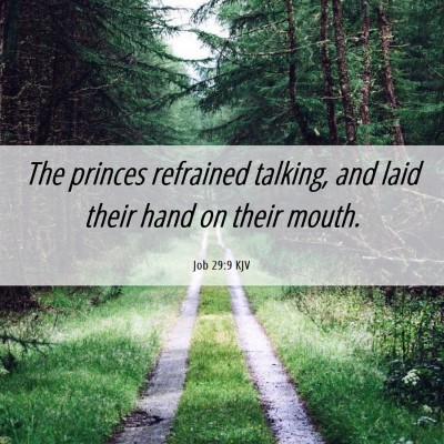 Picture 06 - Job 29:9 KJV - The princes refrained talking, and laid their - Bible Verse Picture