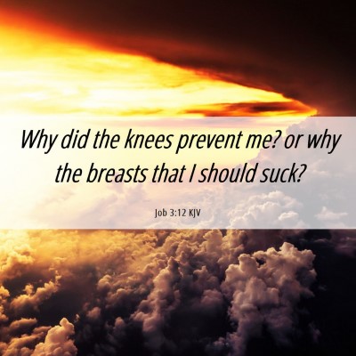 Picture 06 - Job 3:12 KJV - Why did the knees prevent me? or why the breasts - Bible Verse Picture