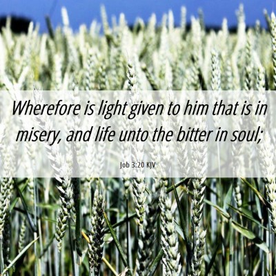 Picture 06 - Job 3:20 KJV - Wherefore is light given to him that is in - Bible Verse Picture