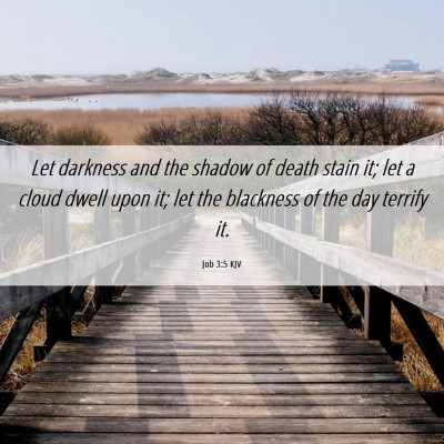 Picture 06 - Job 3:5 KJV - Let darkness and the shadow of death stain it; - Bible Verse Picture