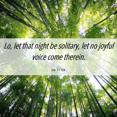 Picture 06 - Job 3:7 KJV - Lo, let that night be solitary, let no joyful - Bible Verse Picture