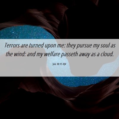 Picture 06 - Job 30:15 KJV - Terrors are turned upon me: they pursue my soul - Bible Verse Picture