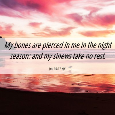 Picture 06 - Job 30:17 KJV - My bones are pierced in me in the night season: - Bible Verse Picture