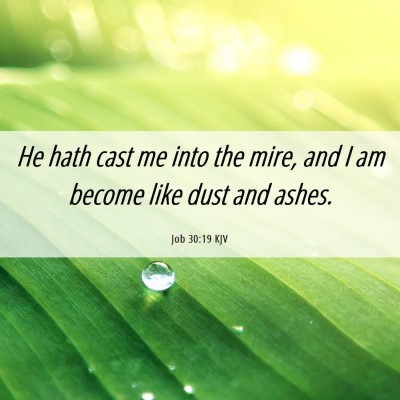 Picture 06 - Job 30:19 KJV - He hath cast me into the mire, and I am become - Bible Verse Picture