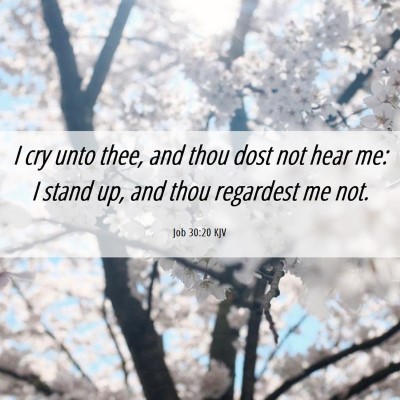 Picture 06 - Job 30:20 KJV - I cry unto thee, and thou dost not hear me: I - Bible Verse Picture