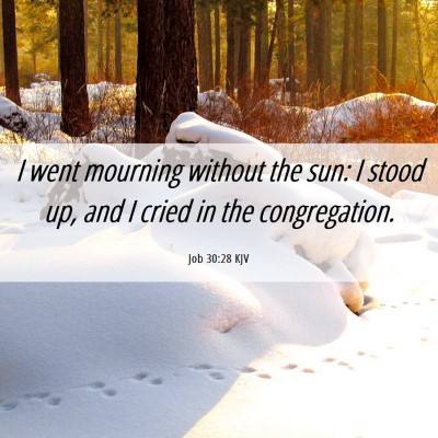 Picture 06 - Job 30:28 KJV - I went mourning without the sun: I stood up, and - Bible Verse Picture