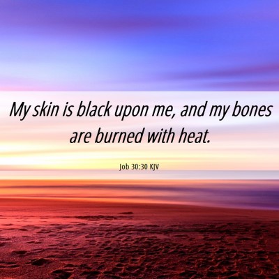 Picture 06 - Job 30:30 KJV - My skin is black upon me, and my bones are burned - Bible Verse Picture