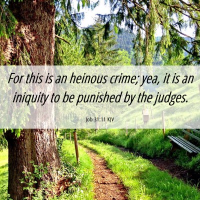 Picture 06 - Job 31:11 KJV - For this is an heinous crime; yea, it is an - Bible Verse Picture