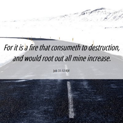 Picture 06 - Job 31:12 KJV - For it is a fire that consumeth to destruction, - Bible Verse Picture