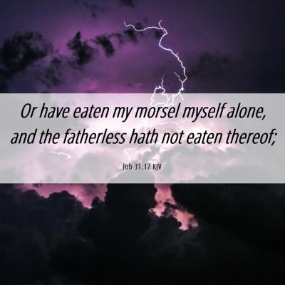 Picture 06 - Job 31:17 KJV - Or have eaten my morsel myself alone, and the - Bible Verse Picture