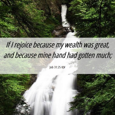 Picture 06 - Job 31:25 KJV - If I rejoice because my wealth was great, and - Bible Verse Picture