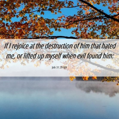 Picture 06 - Job 31:29 KJV - If I rejoice at the destruction of him that hated - Bible Verse Picture
