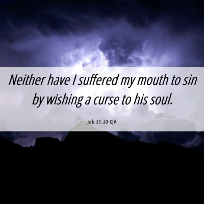 Picture 06 - Job 31:30 KJV - Neither have I suffered my mouth to sin by - Bible Verse Picture